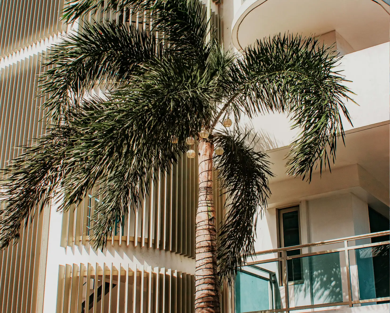 Bricksio-service-three-image-six